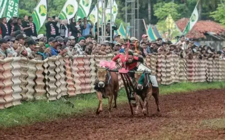 Karapan Sapi Piala Presiden 2025: Sumenep Gelar Seleksi