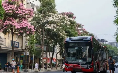 Atasi Guguran Bunga Tabebuya, DLH Surabaya Siagakan Pasukan Tambahan