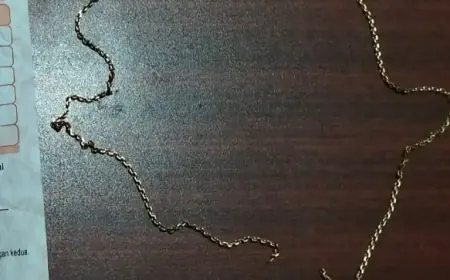 Terjatuh saat Kabur, Jambret Kalung Emas Nenek di Malang Ditangkap Polisi