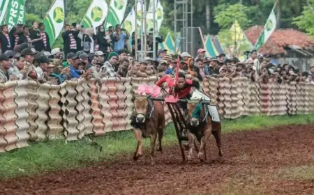 Kerapan Sapi Sumenep Terapkan CCTV di Garis Finish untuk Seleksi Piala Presiden