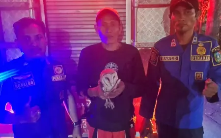 Tidak Hanya Padamkan Api, Damkar Jombang Turun Tangan Selamatkan Burung Hantu