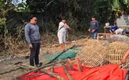 Arena Judi Sabung Ayam di Mojokerto Dibongkar Polisi, Lima Orang Digulung