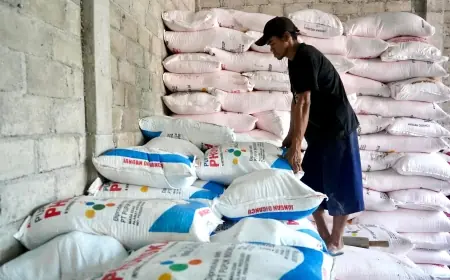 Mas Dhito Lindungi Petani Kediri dari Praktik Nakal Penjualan Pupuk Subsidi di Atas HET