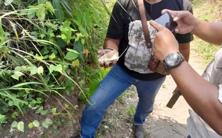 Fosil Kerang Laut Ditemukan di Dusun Lengkong Geneng, Menguak Misteri Lautan Purba di Tengah Daratan