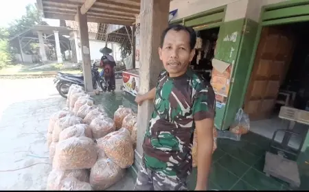 Harga Cabai Rawit Melonjak, Petani Pule Nganjuk Semringah Penjualan hingga Tembus Pasar Kalimantan