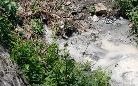 Bau Busuk Diduga Limbah Pengolahan Pentol Dikeluhkan Warga Kertosono Nganjuk