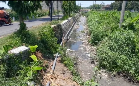 DLH Nganjuk Respon Keluhan Bau Limbah Pentol di Kertosono