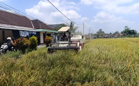 Cegah Alih Fungsi Lahan Pertanian, DKPP Kota Blitar Usulkan Ranperda Perlindungan Sawah