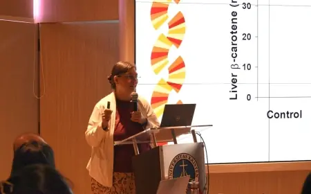 Dari Mata hingga Jantung, Khasiat Luar Biasa Wortel Biofortifikasi Warna-warni