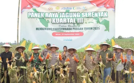 Dukung Ketahanan Pangan, Polres Blitar Panen 34 Ton Jagung