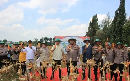Polres Tuban Gelar Panen  Raya Jagung Serentak Dukung Program Ketahanan Pangan Nasional