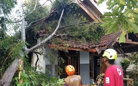 Angin Kencang Melanda Gondanglegi Malang: Sejumlah Pohon Tumbang, Empat Rumah Warga Rusak
