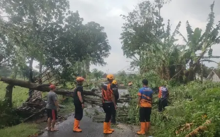 Angin Kencang Terjang Taman Krocok Bondowoso, Warga Trauma, BPBD Sigap Evakuasi