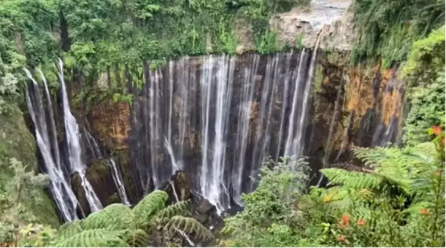 Self Healing di Alam: 5 Destinasi Hidden Gem di Jawa Timur