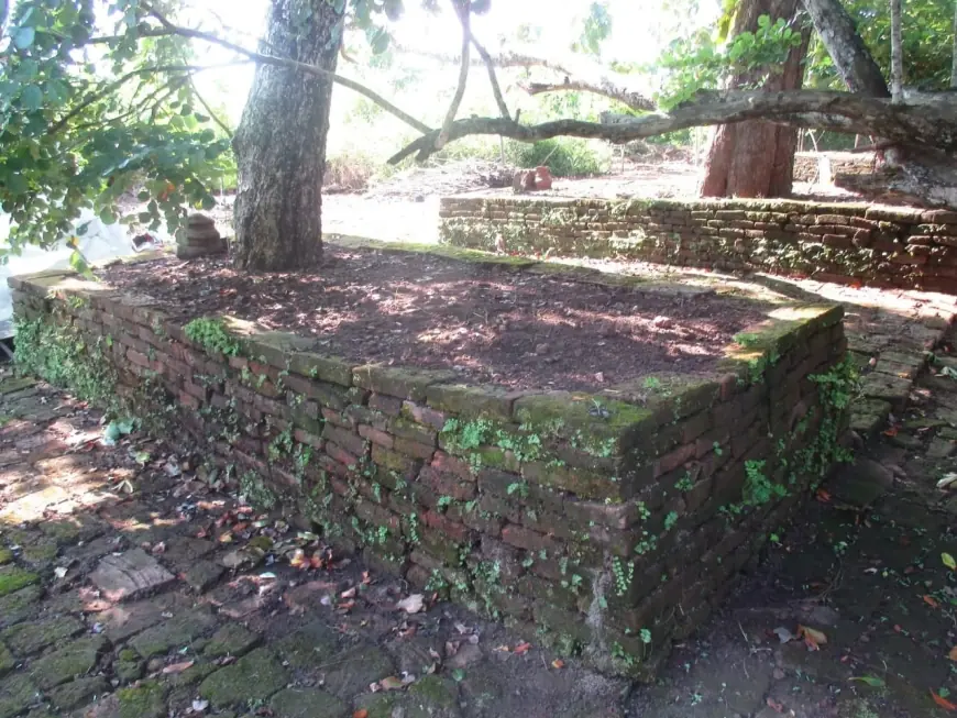 Jejak Sejarah di Hutan Jati Nganjuk: Struktur Candi Kuno Era Majapahit