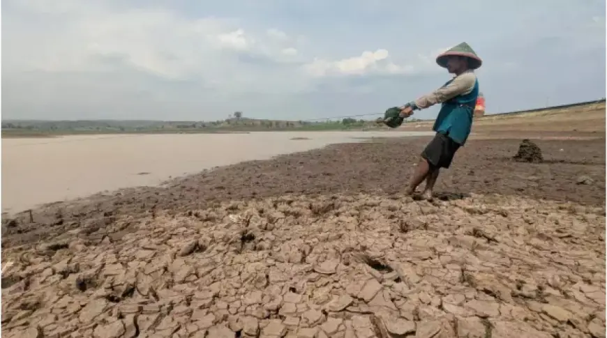 Tradisi Panen Ikan Waduk Dawuhan, Berkah Tahunan Warga Madiun