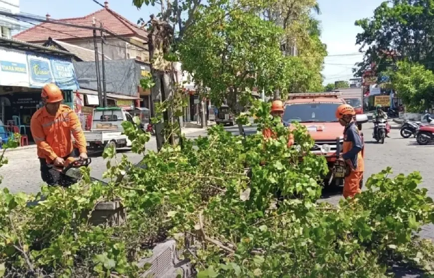 Anomali Cuaca, BPBD Gresik Peringatkan Ancaman Bencana Angin Kencang
