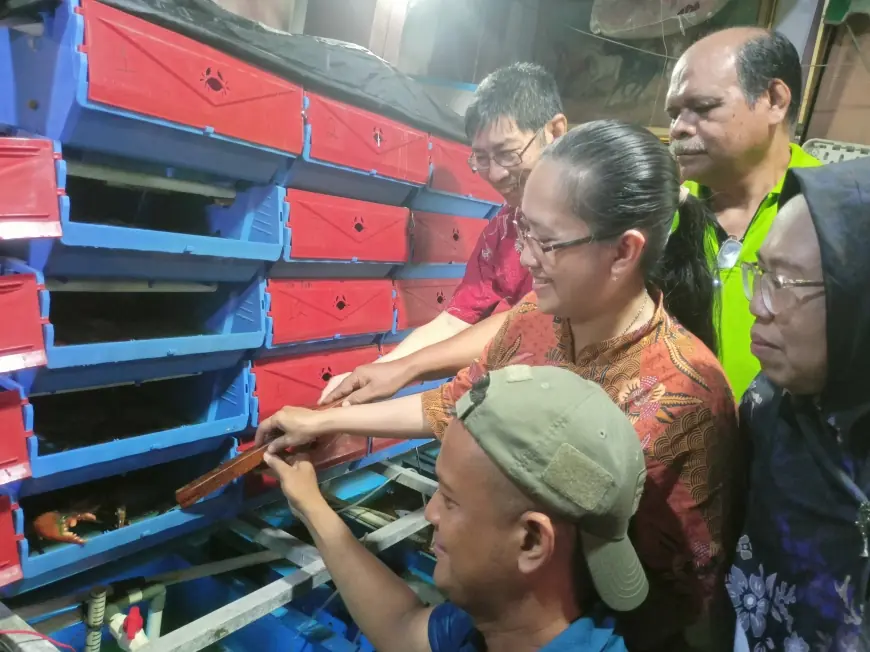 UKWMS Manfaatkan PLTS Guna Besarkan Kepiting Bakau di Tengah Kota