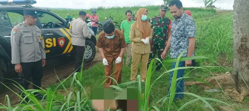 Mayat Pria Tanpa Identitas Ditemukan Warga di Area Lahan Perhutani Binangun Blitar