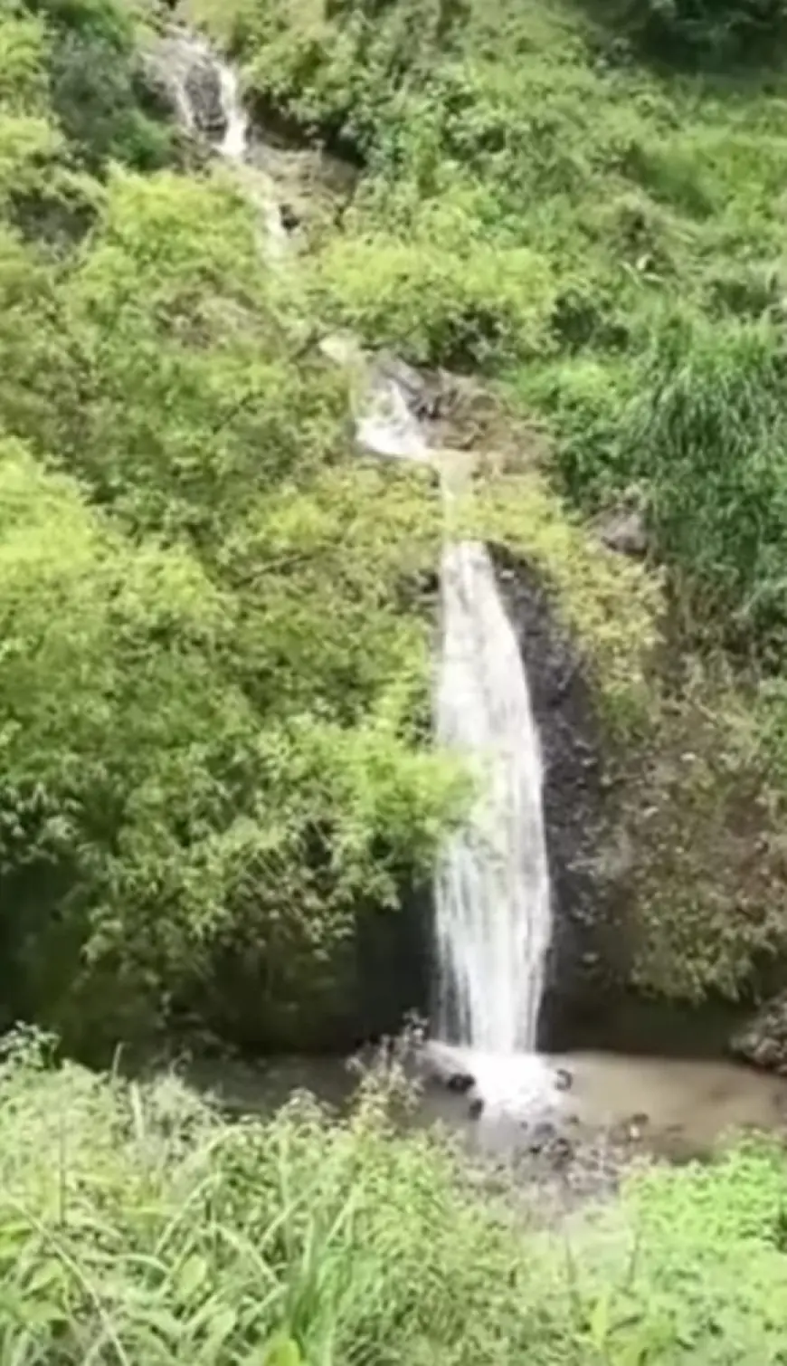 Air Terjun Kali Anjlok, Permata Tersembunyi di Tengah Hutan Nganjuk
