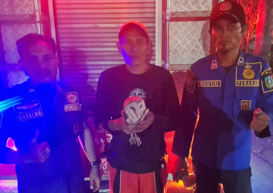 Tidak Hanya Padamkan Api, Damkar Jombang Turun Tangan Selamatkan Burung Hantu