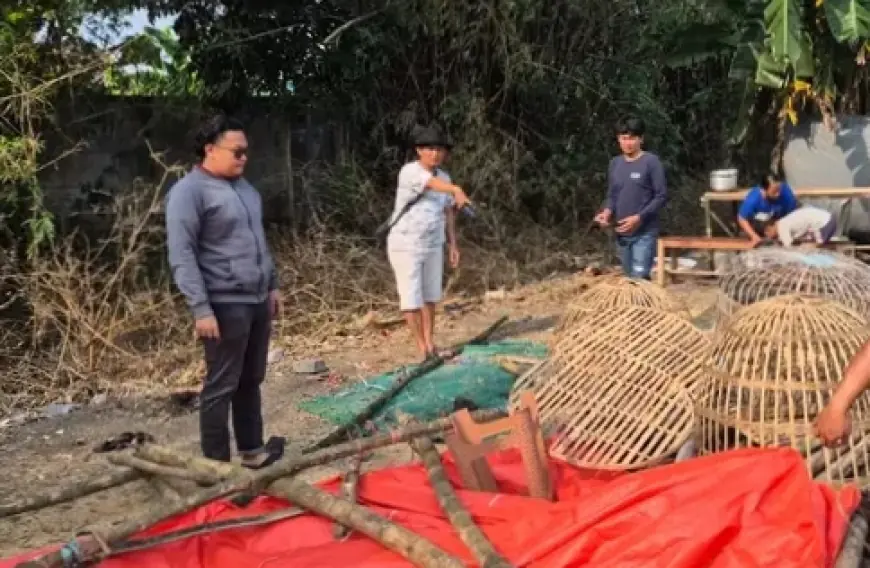 Arena Judi Sabung Ayam di Mojokerto Dibongkar Polisi, Lima Orang Digulung