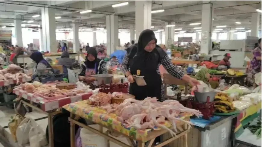 Harga Daging Ayam Potong di Ngawi Melonjak, Pedagang Merugi