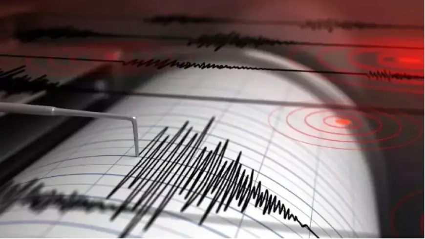 Gempa M 5,7 Guncang Banyuwangi, Getarannya Terasa Sampai Mojokerto