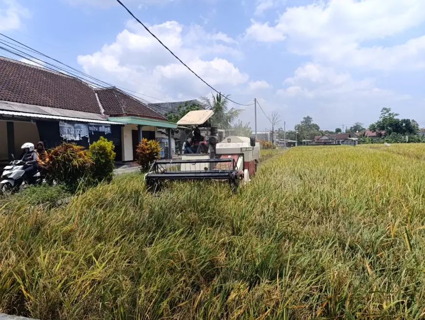 Cegah Alih Fungsi Lahan Pertanian, DKPP Kota Blitar Usulkan Ranperda Perlindungan Sawah