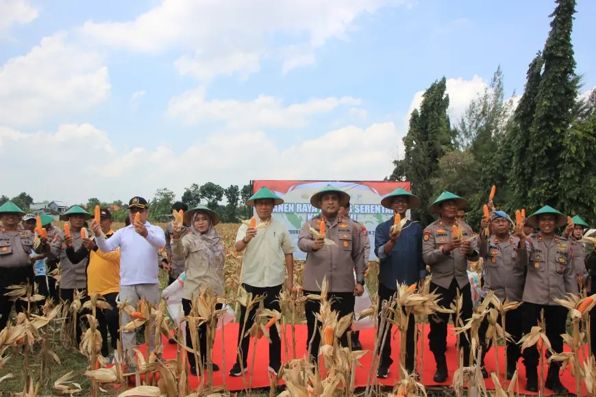 Polres Tuban Gelar Panen  Raya Jagung Serentak Dukung Program Ketahanan Pangan Nasional
