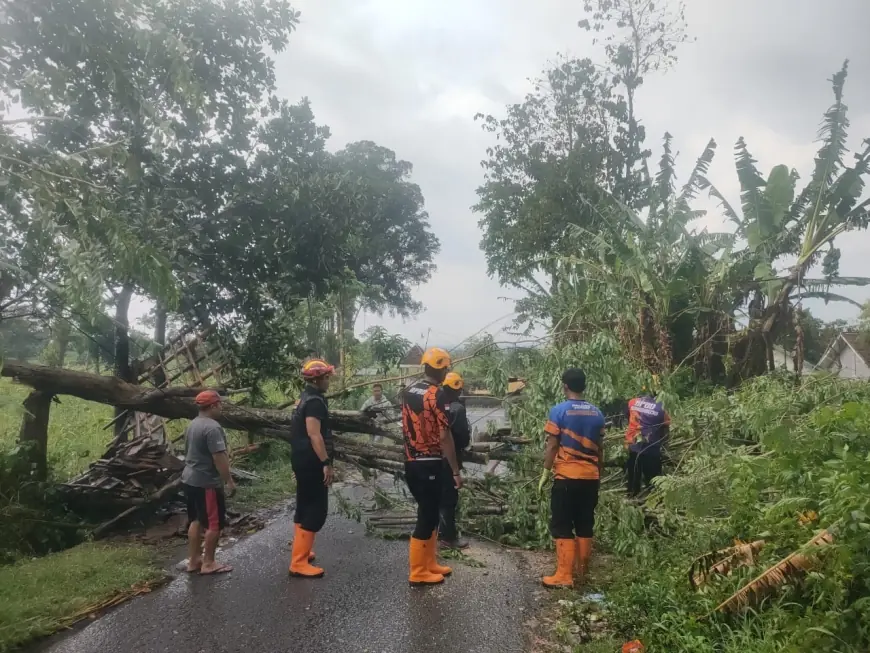 Angin Kencang Terjang Taman Krocok Bondowoso, Warga Trauma, BPBD Sigap Evakuasi