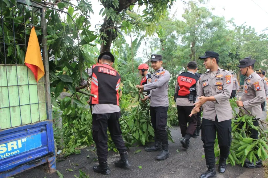 Angin Puting Beliung Terjang Tuban, Puluhan Rumah Rusak