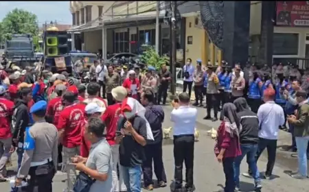 Peternak Lamongan Demo Polres, Lepas Belasan Ayam sebagai Simbol Perjuangan