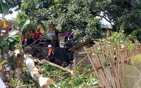 Tujuh Rumah Warga di Blitar Rusak, Dampak Hujan Deras Disertai Angin Kencang