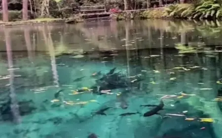 Telaga Rambut Monte, Pesona Alam Asri di Kaki Gunung Kawi Blitar
