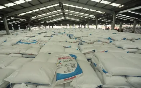 Awal Musim Tanam Padi, Petrokimia Gresik Siap Distribusikan 441 Ribu Ton Pupuk Bersubsidi