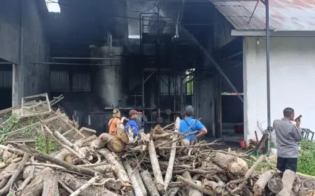 Memulai Produksi Perdana, Mesin Boiler Pabrik Triplek di Blitar Terbakar