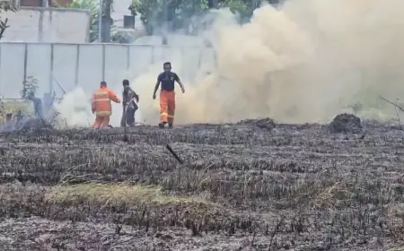 Panas Meningkat, 2 Hektare Ilalang di Gresik Ludes Terbakar