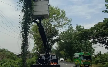 Pemasangan Lampu PJU di Gresik Belum Ideal, Masih Kekurangan 4 Ribu Titik
