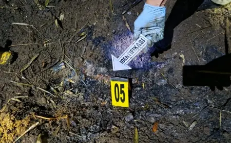 Polisi Berhasil Identifikasi Misteri Mayat Perempuan Terbakar di Kebun Tebu Gedangan Malang