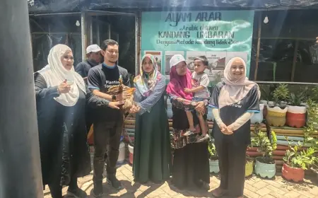 Jurus Tekan Stunting, Warga Randuboto Gresik dapat 5 Ayam Petelur Gratis per Rumah