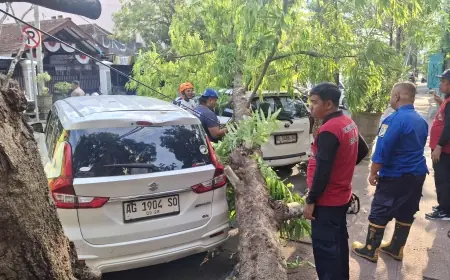 Mobil Rusak Tertimpa Pohon, Pemilik Berencana Minta Ganti Rugi Ke DLH Tulungagung