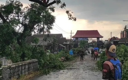 Desa Penataran Blitar Diterjang Angin Kencang, Pohon Tumbang, Rumah dan Kendaraan Warga Rusak