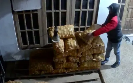 Pakai Topi dan Jaket, Aksi Pencuri Kentang di Kota Blitar Terekam Kamera CCTV