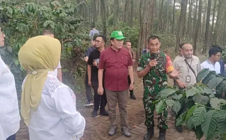 Sensasi Berkemah di Lereng Semeru, Nikmati Aroma Kopi di Benjor Tumpang