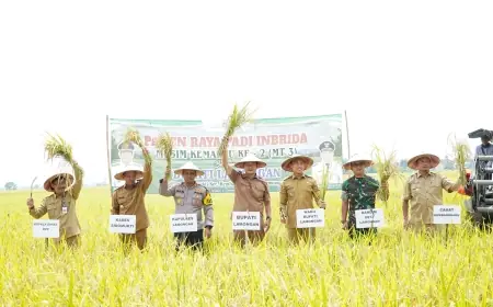 1.700 Hektare Sawah Petani Lamongan Siap Panen, Harga Gabah Tembus Rp7.300 per Kilogram