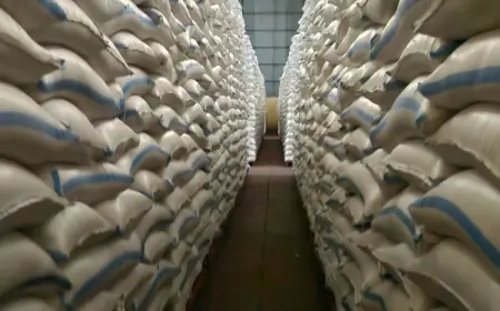 Stok Beras Bulog Tulungagung Aman hingga 14 Bulan Mendatang