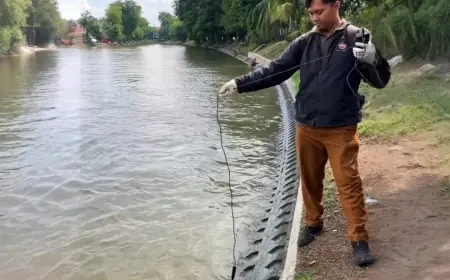 Penurunan Oksigen Terlarut Jadi Pemicu Ikan Mengambang di Sungai Surabaya