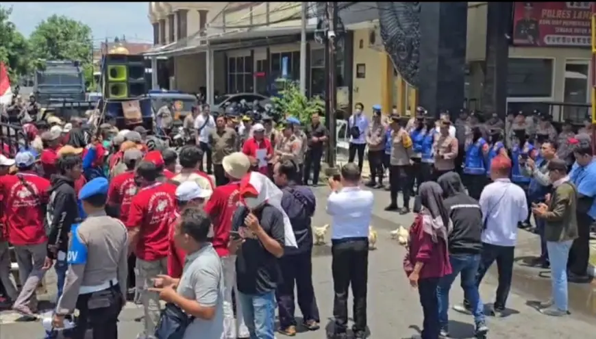 Peternak Lamongan Demo Polres, Lepas Belasan Ayam sebagai Simbol Perjuangan