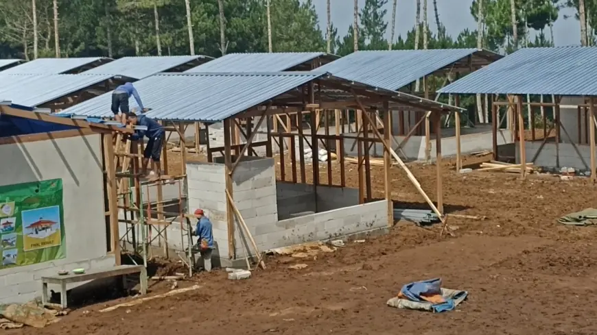 Pemerintah Trenggalek Bangun Puluhan Huntara untuk Korban Tanah Gerak di Desa Ngrandu
